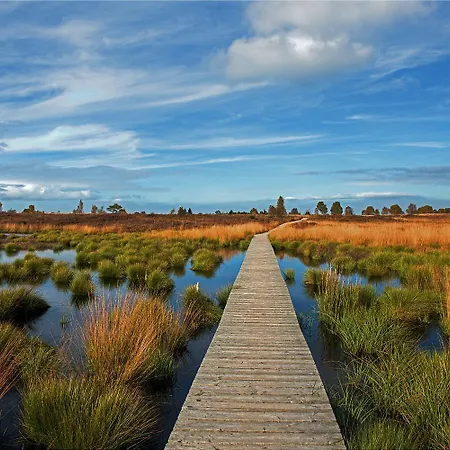 Am Fluss Im Haus An Der Rur Lägenhet *