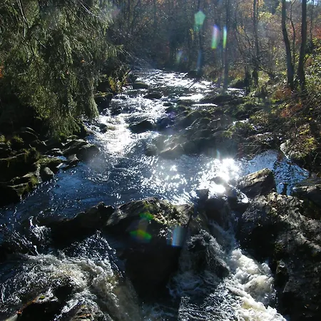 Am Fluss Im Haus An Der Rur Lägenhet