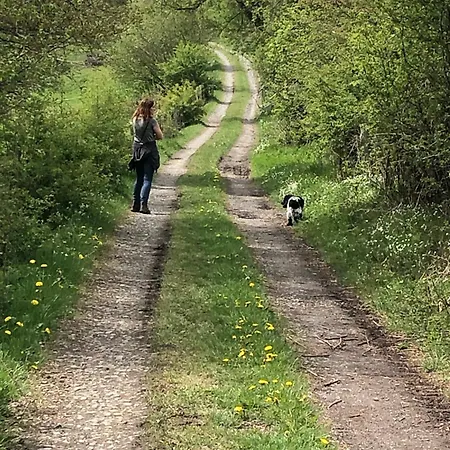 Am Fluss Im Haus An Der Rur Lägenhet *
