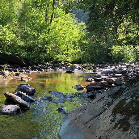 Am Fluss Im Haus An Der Rur Lägenhet