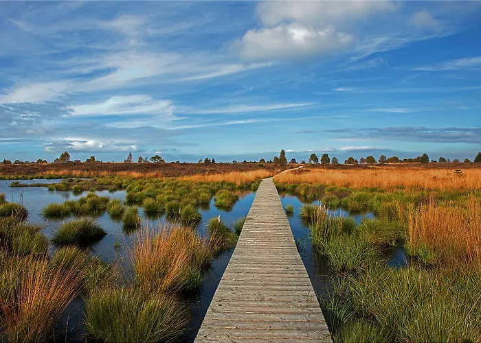 Am Fluss Im Haus An Der Rur Lejlighed *