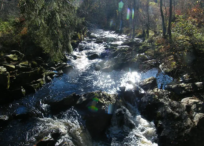 Am Fluss Im Haus An Der Rur Apartamento