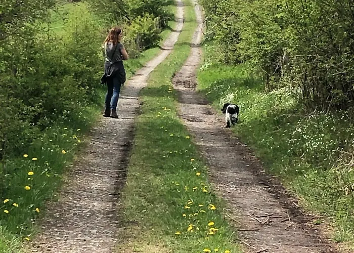 Am Fluss Im Haus An Der Rur Lejlighed *