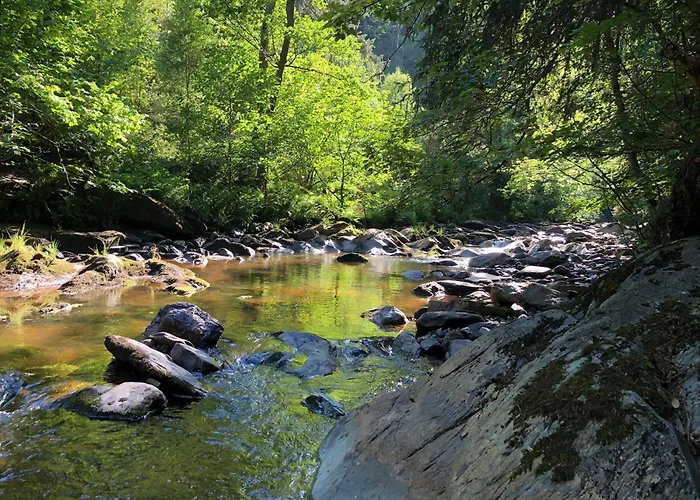 Am Fluss Im Haus An Der Rur Apartamento